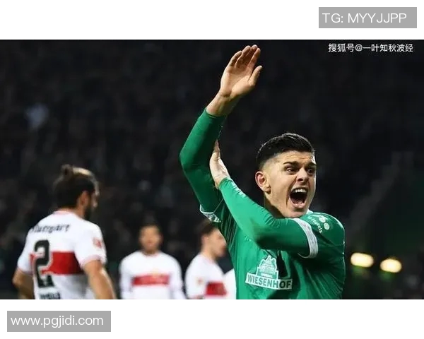 霍芬海姆客场逆袭多特蒙德反超被逆转